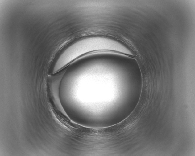 X0000054360538200508051531