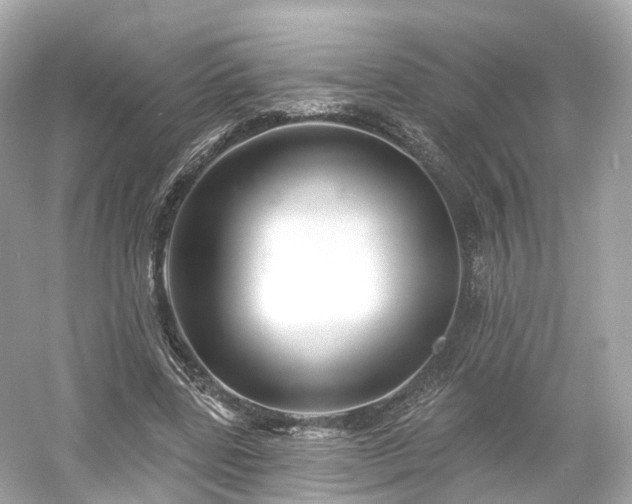 X0000054360539200508051531