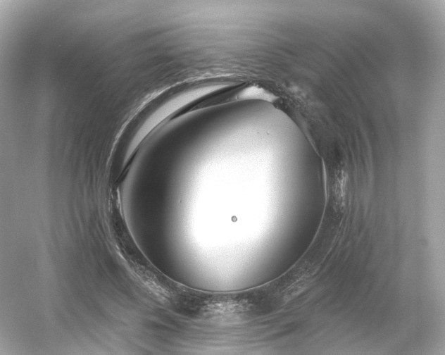 X0000054360540200508051532