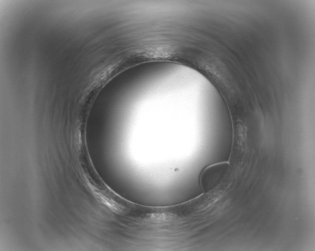 X0000054360541200508051532