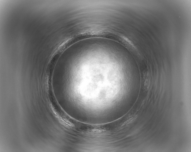 X0000054360542200508051532