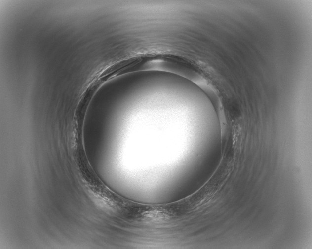 X0000054360544200508051532
