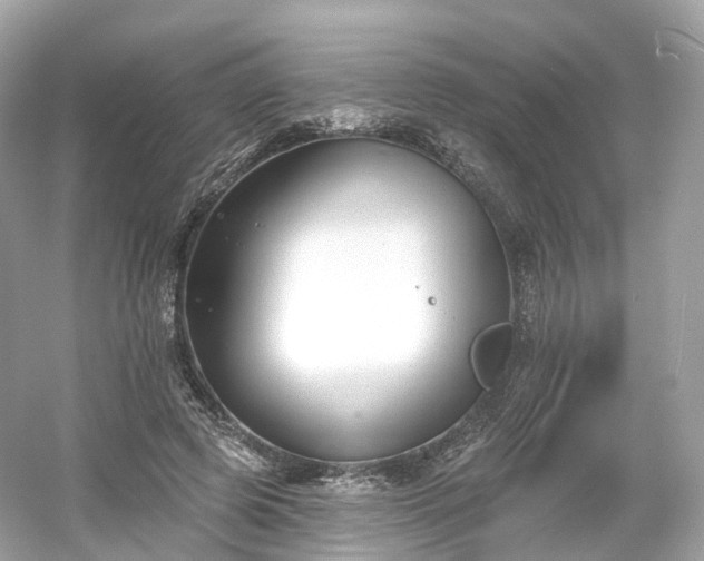 X0000054360545200508051532