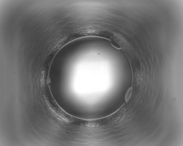 X0000054360546200508051532