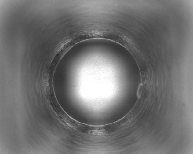 X0000054360548200508051532