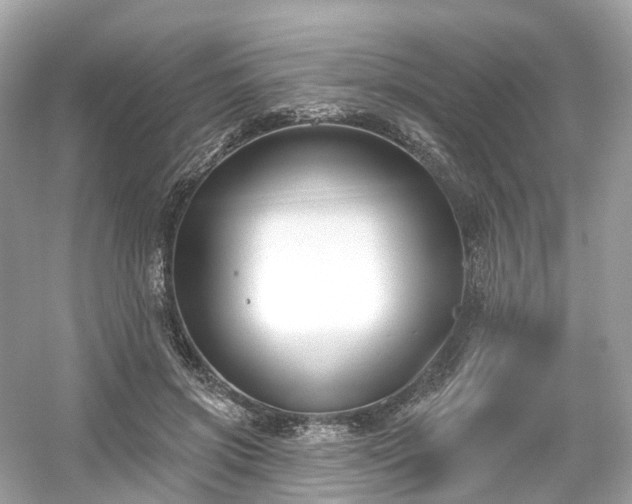 X0000054360549200508051532