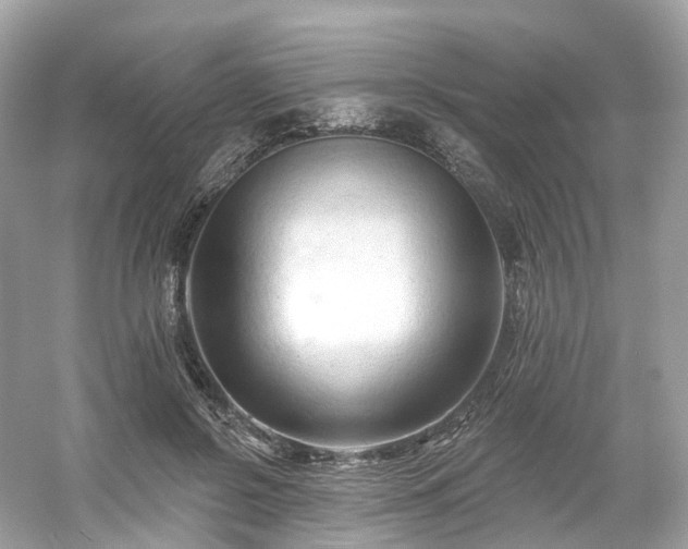 X0000054360550200508051532