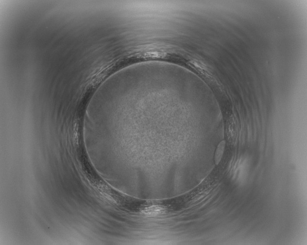 X0000054360551200508051532