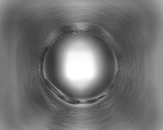 X0000054360552200508051532