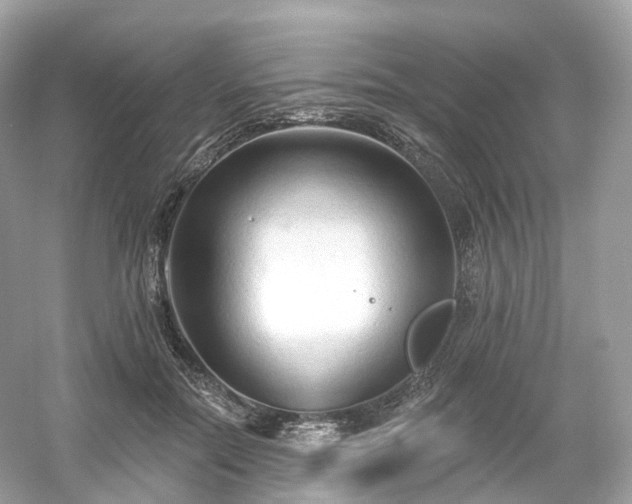 X0000054360554200508051532