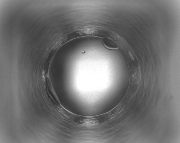 X0000054360555200508051532