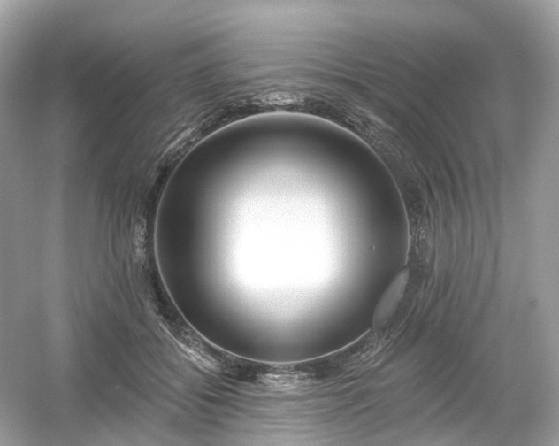 X0000054360556200508051532