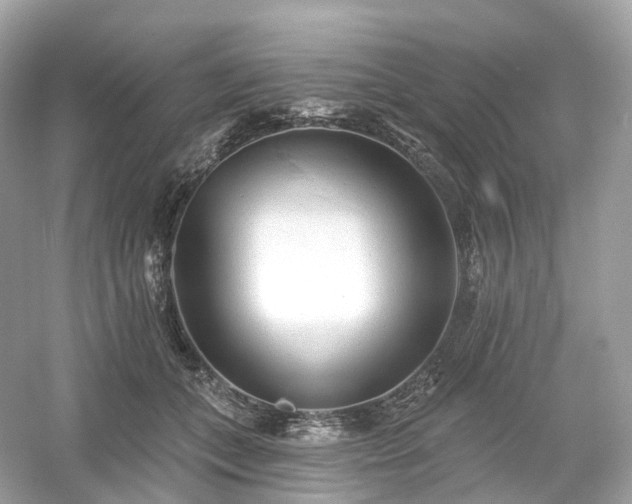 X0000054360559200508051532