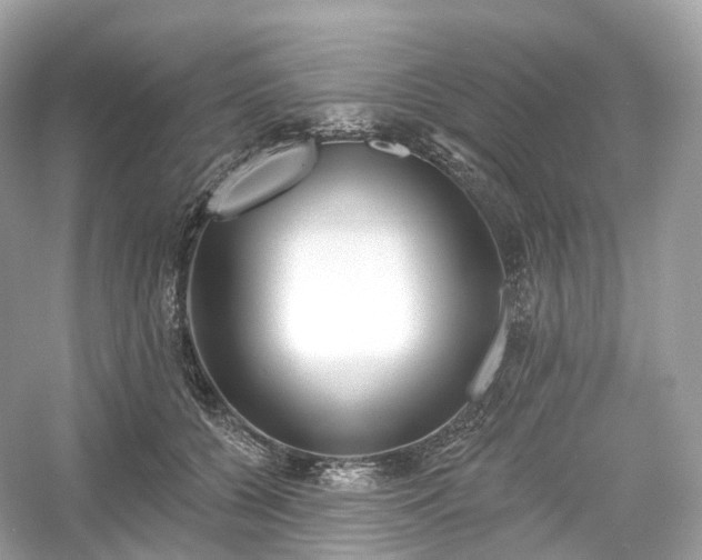 X0000054360560200508051532