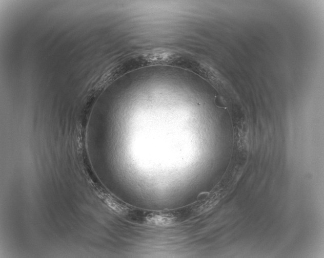 X0000054360561200508051532