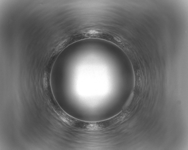 X0000054360562200508051532