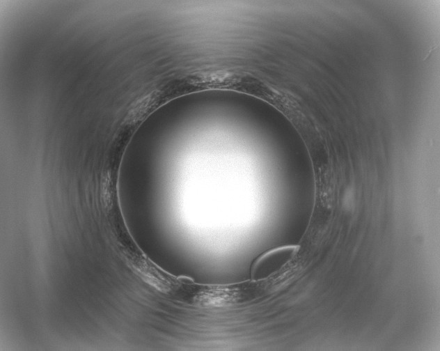 X0000054360563200508051532