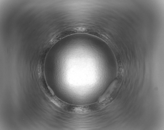 X0000054360568200508051532