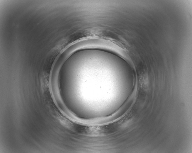 X0000054360570200508051532