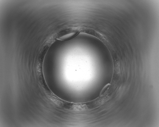 X0000054360571200508051532