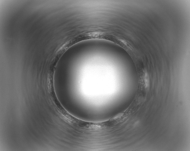 X0000054360572200508051532