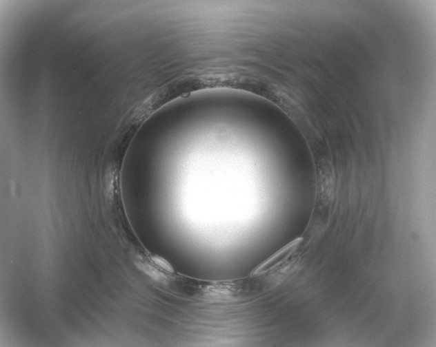 X0000054360574200508051532