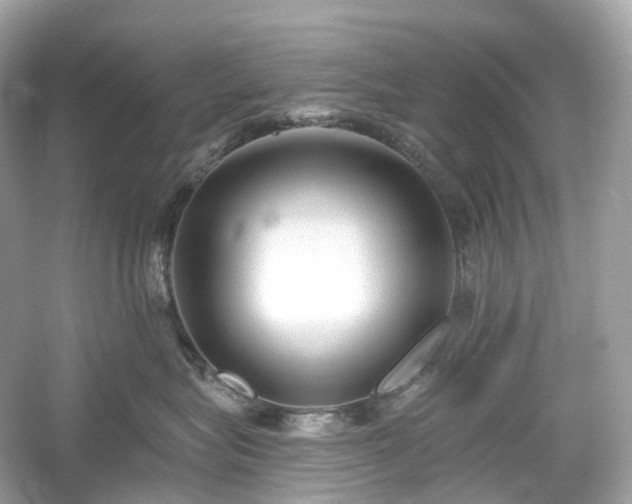 X0000054360575200508051532