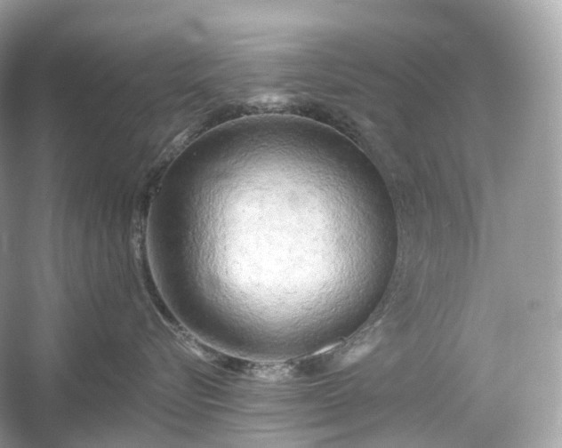 X0000054360576200508051532