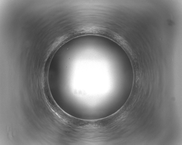 X0000054360578200508051531