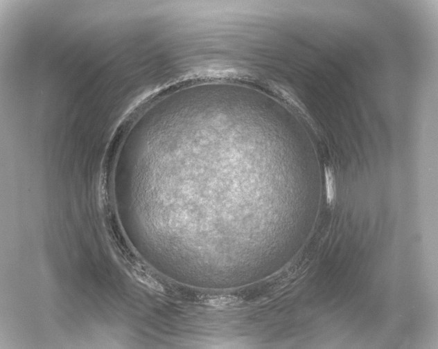 X0000054360579200508051531