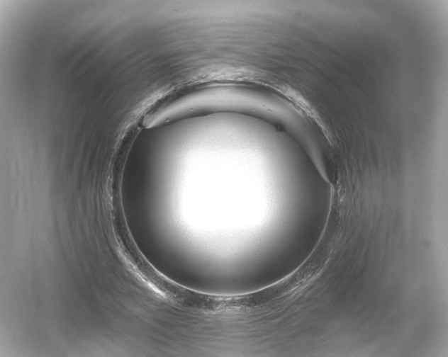 X0000054360581200508051531