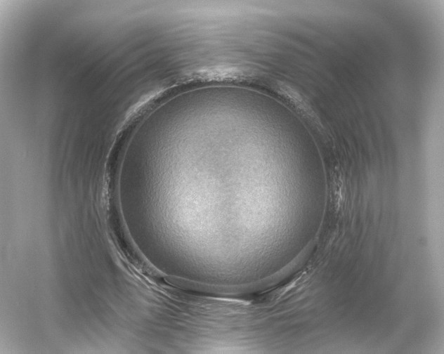 X0000054360583200508051531