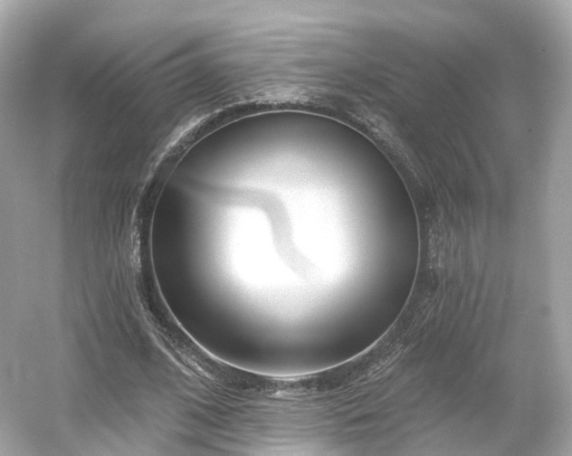 X0000054360584200508051531