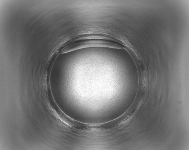 X0000054360585200508051531