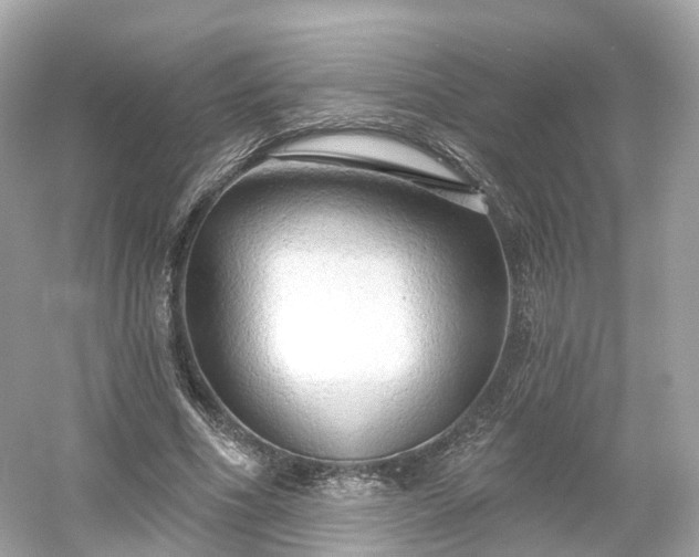 X0000054360586200508051531