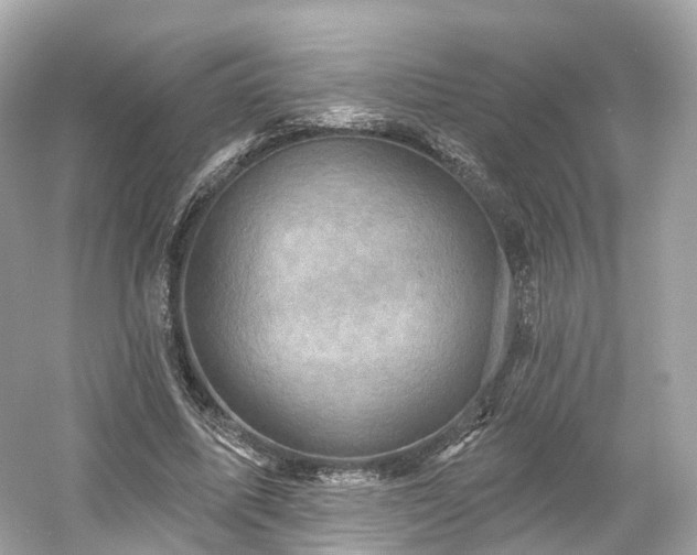 X0000054360587200508051531