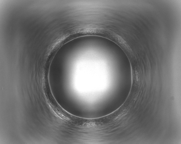 X0000054360588200508051531