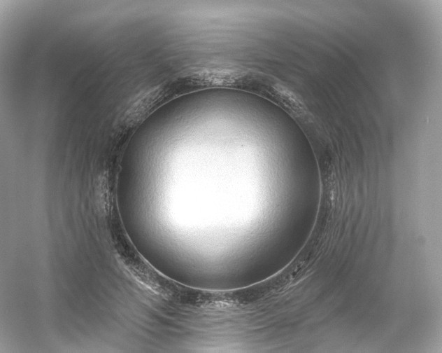 X0000054360594200508051531