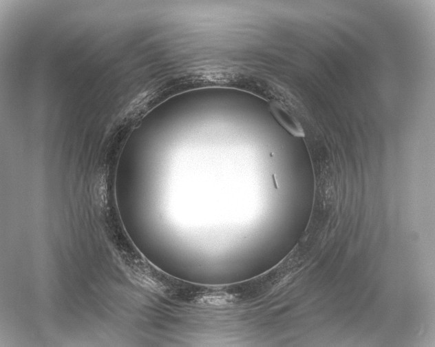 X0000054360595200508051531
