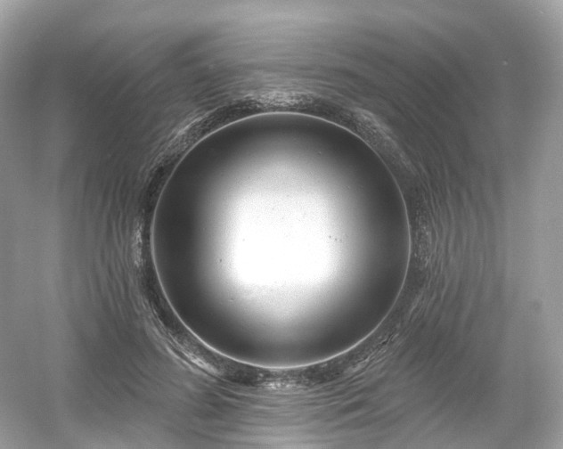 X0000054360596200508051531