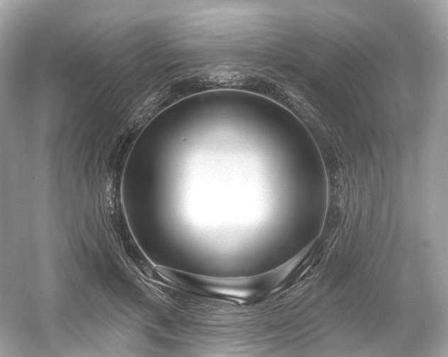 X0000054360597200508051531