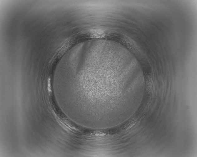 X0000054360598200508051531