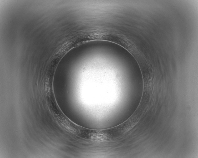X0000054360599200508051531