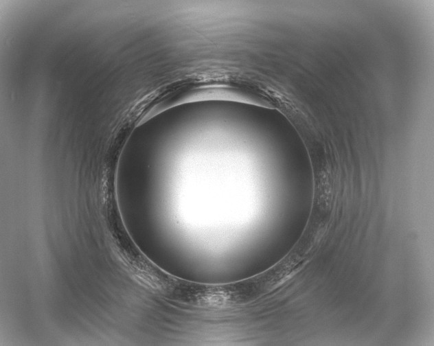 X0000054360600200508051531