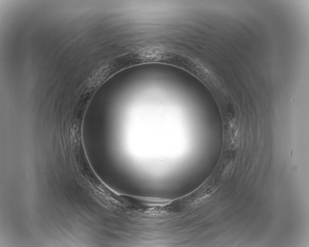 X0000054360601200508051531
