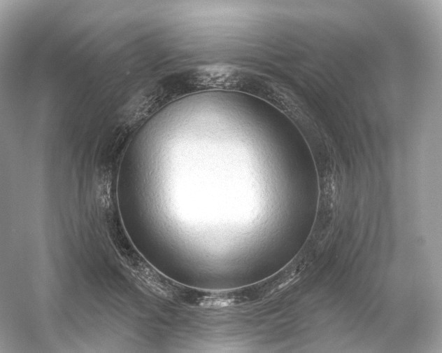 X0000054360602200508051531