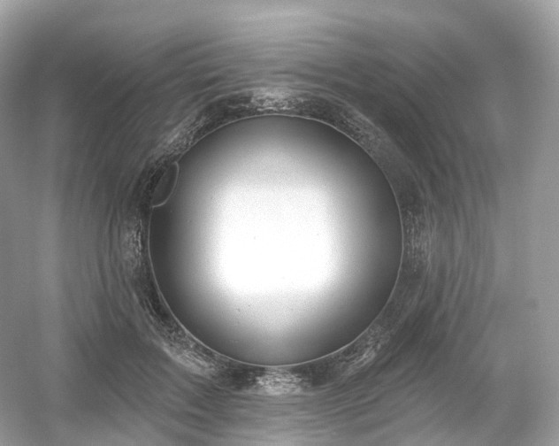 X0000054360603200508051531