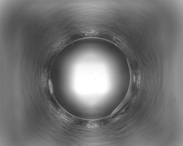X0000054360604200508051531