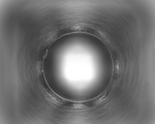 X0000054360605200508051531
