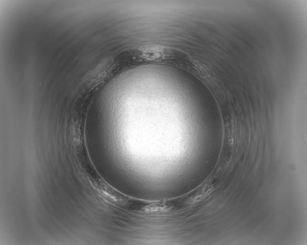X0000054360606200508051531